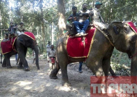 Forest department introduces elephant rides in Sepahijala wildlife sanctuary Forest department introduces elephant rides in Sepahijala wildlife sanctuary